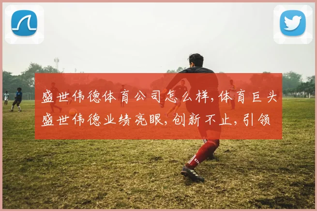 盛世伟德体育公司怎么样,体育巨头盛世伟德业绩亮眼,创新不止,引领行业发展。