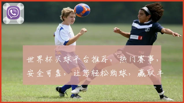 世界杯买球平台推荐，热门赛事，安全可靠，让您轻松购球，赢取丰厚回报，快来体验
